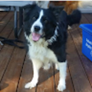 Meet your Posher, Elisha